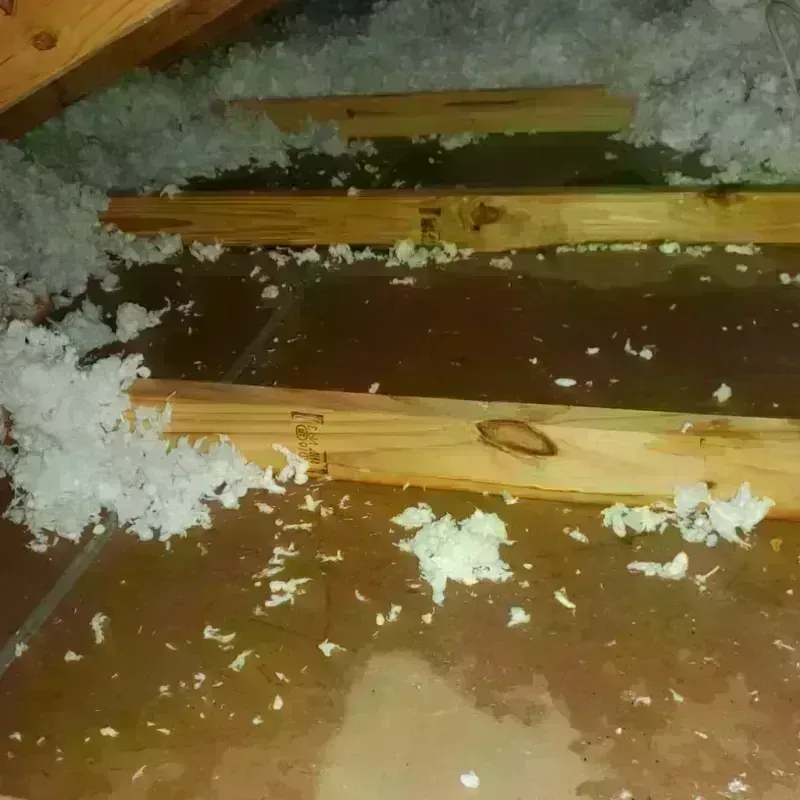 Attic Water Damage in Maple Glen, PA